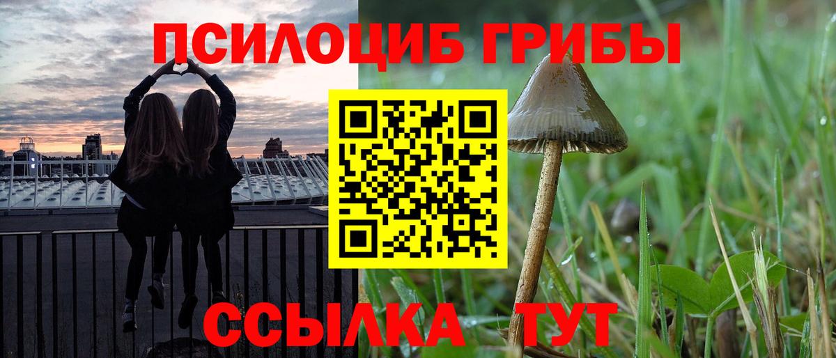 Галлюциногенные грибы прущие грибы Острогожск